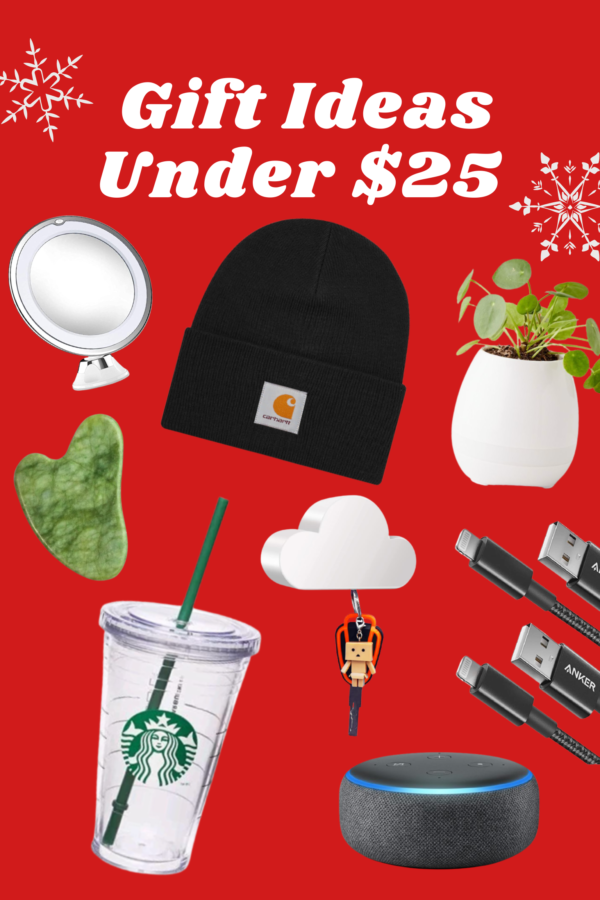 50 Gift Ideas Under 50 Dollars - Sam Souder